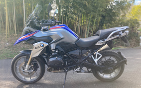 BMW R1100R 2015 0A01