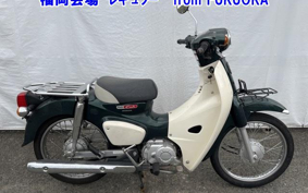 OTHER C110-3