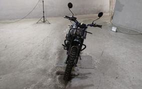OTHER  MAT MASSHUMAN250 ..