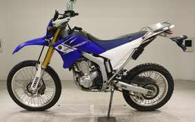 YAMAHA WR250R DG15J