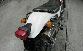 KAWASAKI SUPER SHERPA KL250G