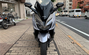 HONDA  FORZA 250 MF15