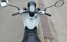 HONDA TODAY AF67