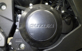 SUZUKI GSX250R