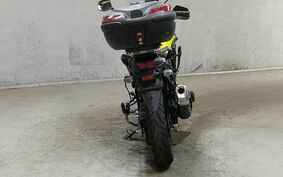 SUZUKI DL650 ( V-Strom 650 ) XT 2019 C733A