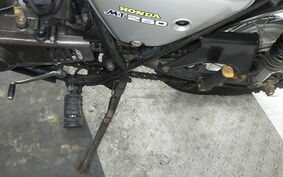 HONDA ELSINORE 250 MT250