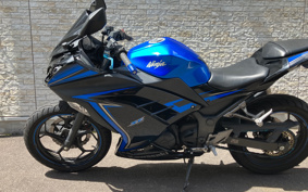 KAWASAKI NINJA 250 EX250L