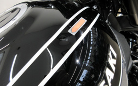 KAWASAKI Z900RS 2021 ZR900C