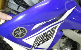 YAMAHA WR250R DG15J