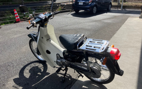 HONDA SUPER CUB50 C50