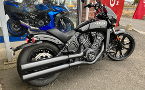 INDIAN Scout rogue 2023