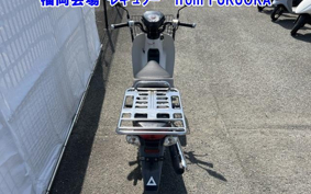 OTHER C110PU LOW 2