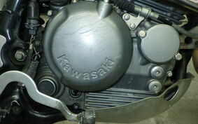 KAWASAKI SUPER SHERPA KL250G