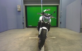 YAMAHA FZ FAZER 2008 RN21J