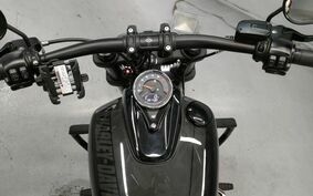 HARLEY FXFB1750 2019 YKJ