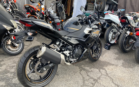 KAWASAKI NINJA 250 EX250P