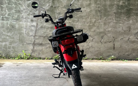 HONDA CT125 HUNTER  CUB  JA65