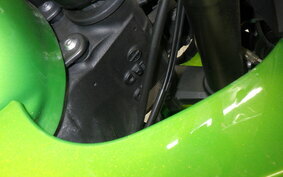 KAWASAKI NINJA 1000 2012