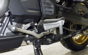 SUZUKI DL650 ( V-Strom 650 ) XTA 2021 C733A