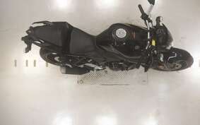 YAMAHA MT-25 RG43J