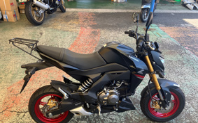 KAWASAKI Z125 PRO BR125H