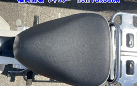 OTHER C110PU LOW 2