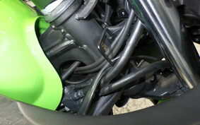 KAWASAKI NINJA 250 ABS EX250L