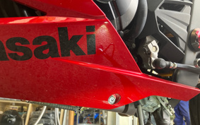 KAWASAKI NINJA 250 ABS SE EX250L