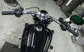 HARLEY FXBRS1870 2021 YHK