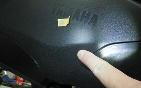 YAMAHA TRICITY 300 2020 SH15J