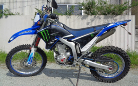 YAMAHA WR250R DG15J