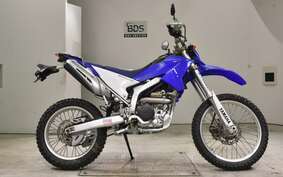 YAMAHA WR250R DG15J