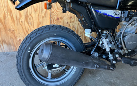 HONDA APE50 TYPE D AC18