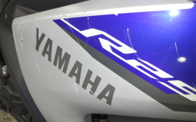 YAMAHA YZF-R25 RG10J