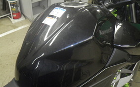 KAWASAKI Z250 Gen.2 EX250P