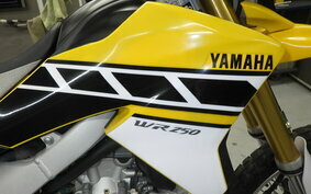 YAMAHA WR250R DG15J