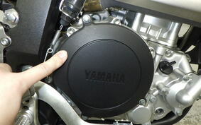 YAMAHA WR250X DG15J