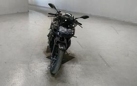 BMW K1300R 2009 0518