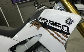 YAMAHA WR250R DG15J