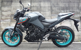 YAMAHA MT-25 RG10