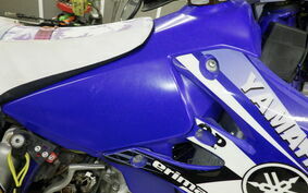 YAMAHA WR250F E