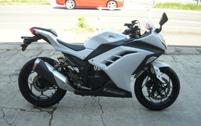 KAWASAKI NINJA 250 EX250L