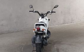 HONDA ZUMAR AF58
