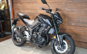 YAMAHA MT-25 RG74J