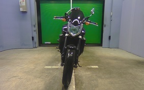 YAMAHA FZ FAZER 2009 RN21J