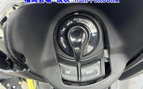 OTHER X-MAX250-2