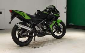 KAWASAKI NINJA150RR KR150P