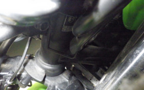 KAWASAKI NINJA 250 ABS EX250L