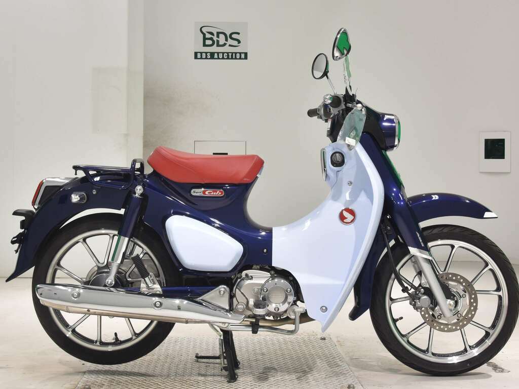 Honda super Cub Surf