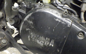 YAMAHA DT250 1N6